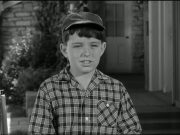 Leave It To Beaver Star Jerry Mathers