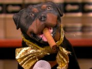 Comedian Robert Smigel